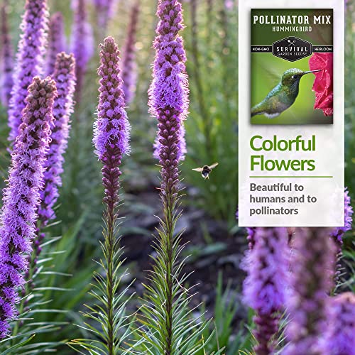 Survival Garden Seeds – Hummingbird Pollinator Mix Wildflower Seed for Planting – Packet with Instructions to Plant and Grow Flowering Plants in Your Home Vegetable Garden – Non-GMO Heirloom Varieties